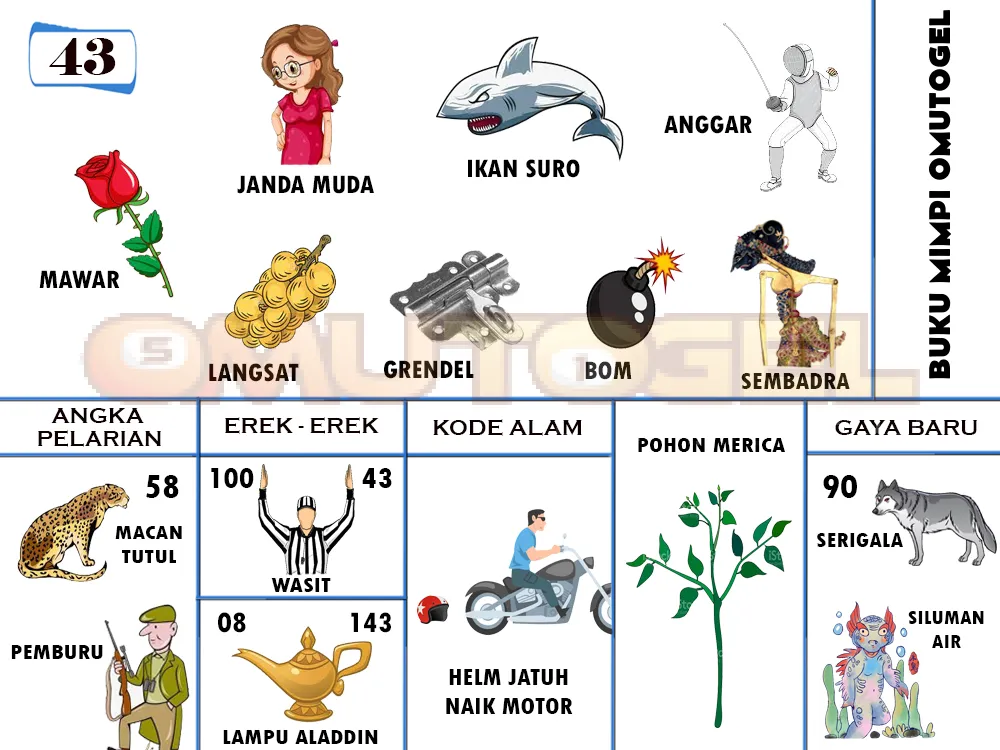buku mimpi erek erek togel 43