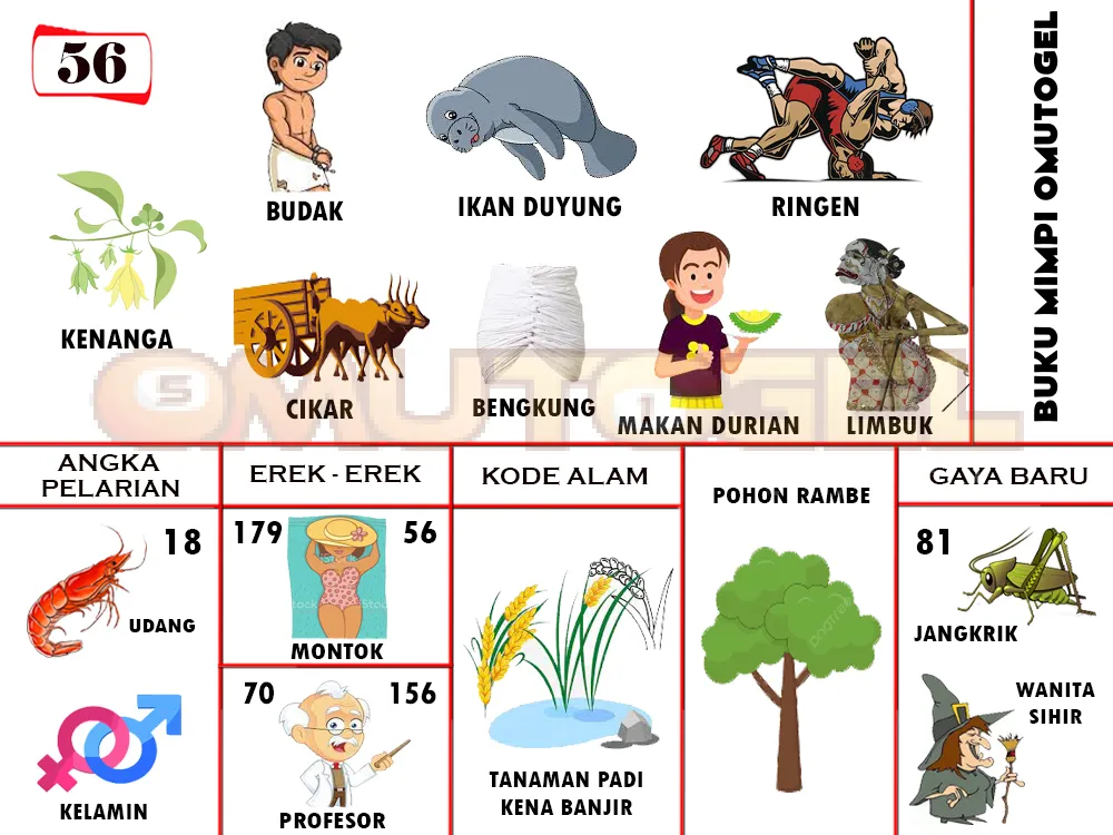 buku mimpi erek erek togel 56